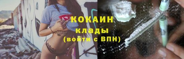 дурь Горняк