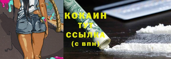 дурь Горняк