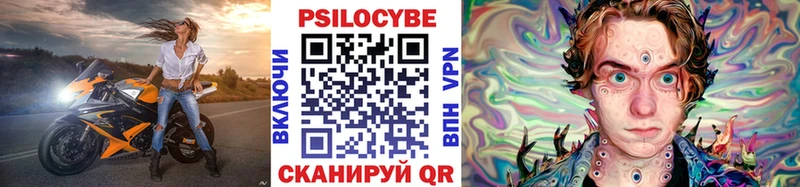 Псилоцибиновые грибы Psilocybe  Купить где  Нефтеюганск 
